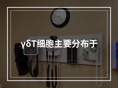 γδT细胞主要分布于