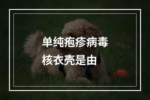 单纯疱疹病毒核衣壳是由