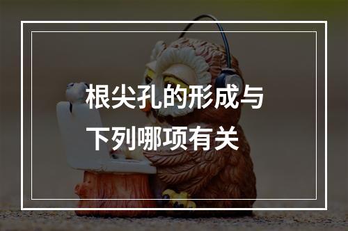 根尖孔的形成与下列哪项有关