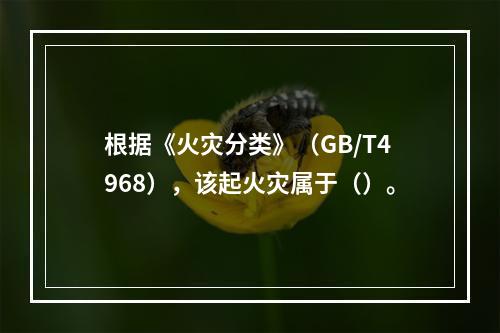 根据《火灾分类》（GB/T4968），该起火灾属于（）。