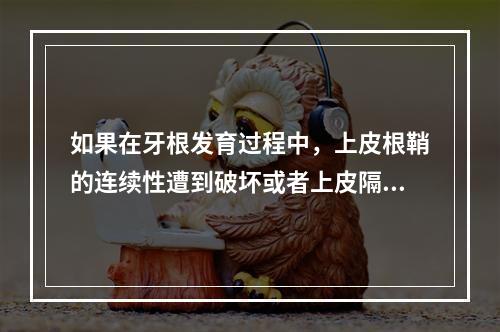 如果在牙根发育过程中，上皮根鞘的连续性遭到破坏或者上皮隔融合