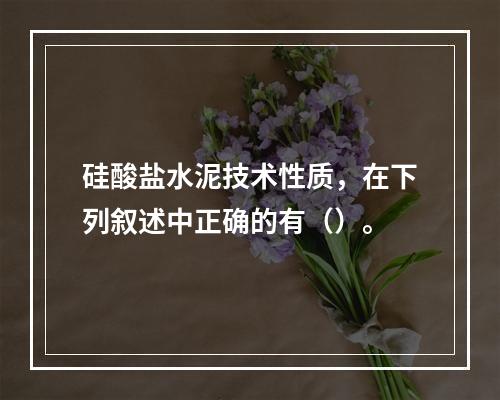 硅酸盐水泥技术性质，在下列叙述中正确的有（）。