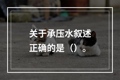 关于承压水叙述正确的是（）。