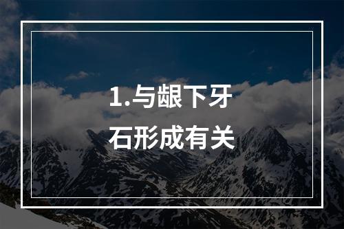 1.与龈下牙石形成有关