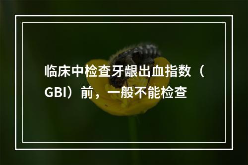 临床中检查牙龈出血指数（GBI）前，一般不能检查