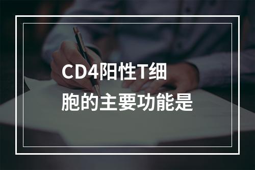 CD4阳性T细胞的主要功能是