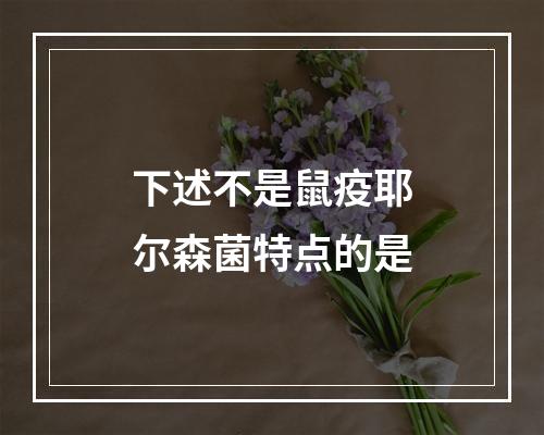 下述不是鼠疫耶尔森菌特点的是