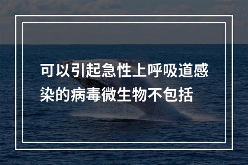 可以引起急性上呼吸道感染的病毒微生物不包括