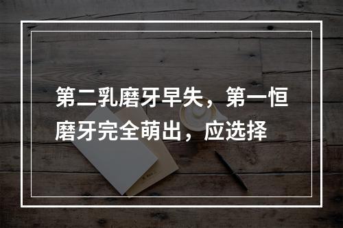 第二乳磨牙早失，第一恒磨牙完全萌出，应选择