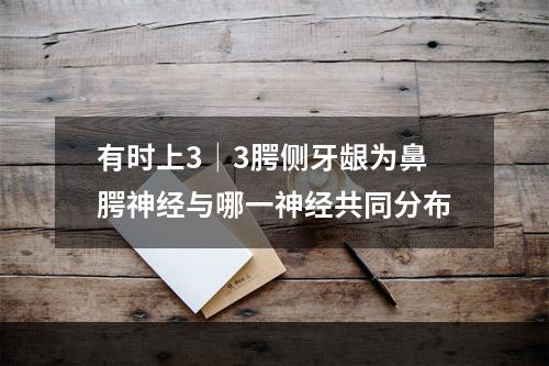 有时上3│3腭侧牙龈为鼻腭神经与哪一神经共同分布