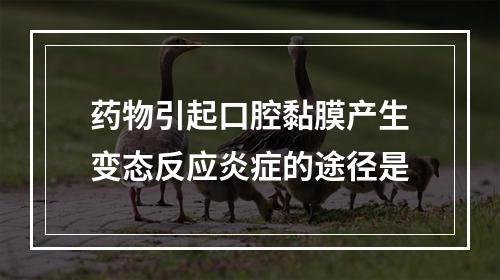 药物引起口腔黏膜产生变态反应炎症的途径是