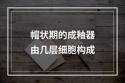 帽状期的成釉器由几层细胞构成