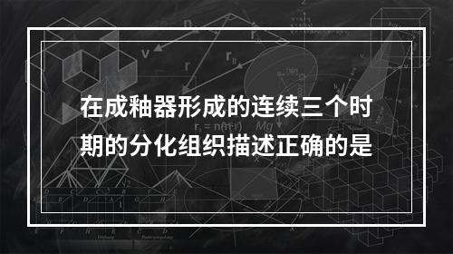 在成釉器形成的连续三个时期的分化组织描述正确的是