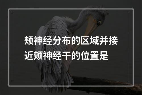 颊神经分布的区域并接近颊神经干的位置是