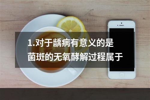 1.对于龋病有意义的是菌斑的无氧酵解过程属于