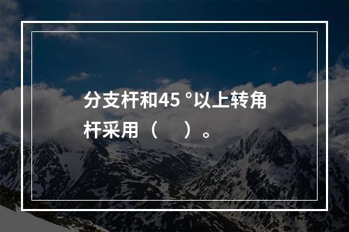 分支杆和45 °以上转角杆采用（      ）。