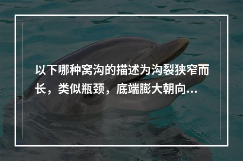 以下哪种窝沟的描述为沟裂狭窄而长，类似瓶颈，底端膨大朝向釉质