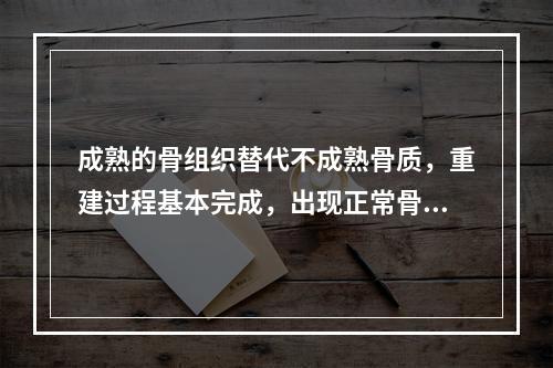 成熟的骨组织替代不成熟骨质，重建过程基本完成，出现正常骨结构