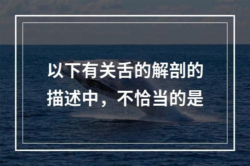 以下有关舌的解剖的描述中，不恰当的是