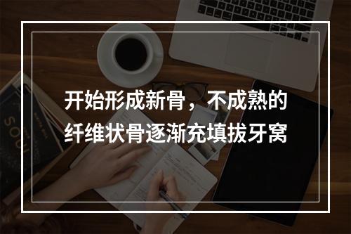 开始形成新骨，不成熟的纤维状骨逐渐充填拔牙窝