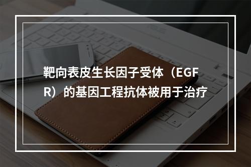 靶向表皮生长因子受体（EGFR）的基因工程抗体被用于治疗