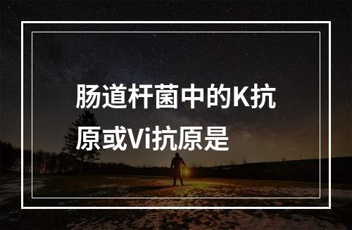 肠道杆菌中的K抗原或Vi抗原是