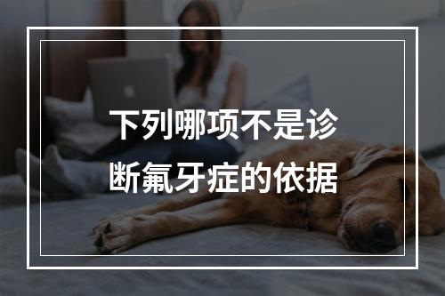 下列哪项不是诊断氟牙症的依据