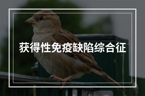 获得性免疫缺陷综合征