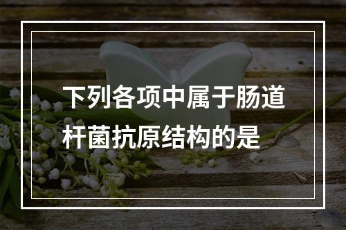 下列各项中属于肠道杆菌抗原结构的是