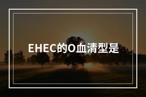 EHEC的O血清型是