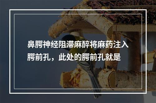 鼻腭神经阻滞麻醉将麻药注入腭前孔，此处的腭前孔就是