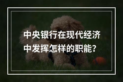 中央银行在现代经济中发挥怎样的职能？