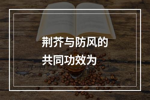 荆芥与防风的共同功效为