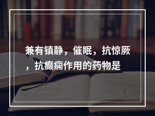 兼有镇静，催眠，抗惊厥，抗癫痫作用的药物是