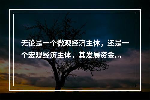 无论是一个微观经济主体，还是一个宏观经济主体，其发展资金的积