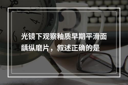 光镜下观察釉质早期平滑面龋纵磨片，叙述正确的是