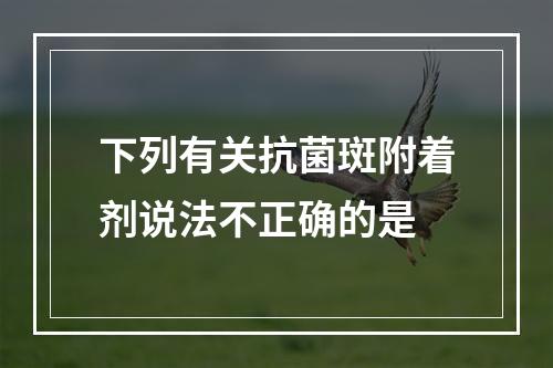 下列有关抗菌斑附着剂说法不正确的是