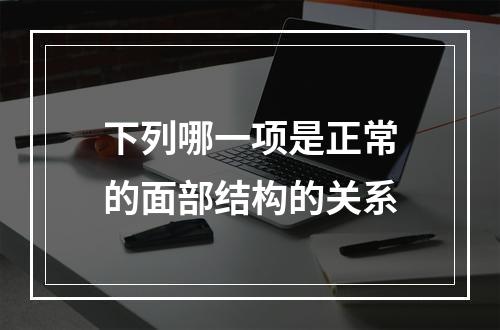 下列哪一项是正常的面部结构的关系