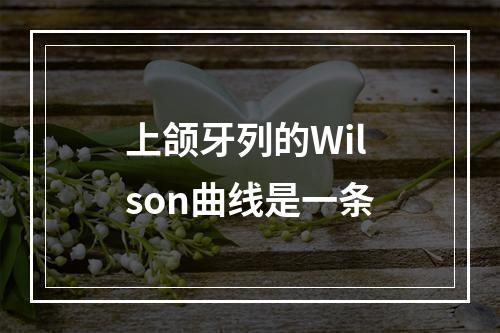 上颌牙列的Wilson曲线是一条