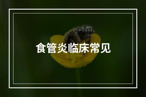 食管炎临床常见