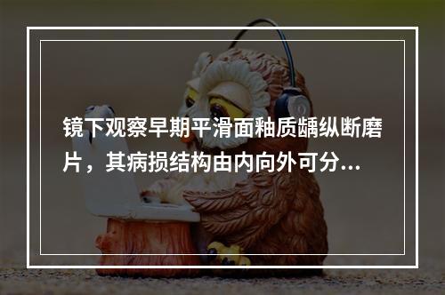 镜下观察早期平滑面釉质龋纵断磨片，其病损结构由内向外可分为