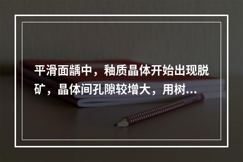 平滑面龋中，釉质晶体开始出现脱矿，晶体间孔隙较增大，用树胶可