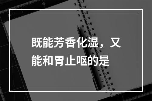 既能芳香化湿，又能和胃止呕的是