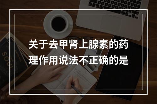 关于去甲肾上腺素的药理作用说法不正确的是