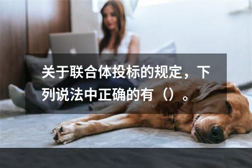 关于联合体投标的规定，下列说法中正确的有（）。