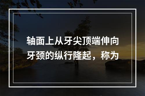 轴面上从牙尖顶端伸向牙颈的纵行隆起，称为