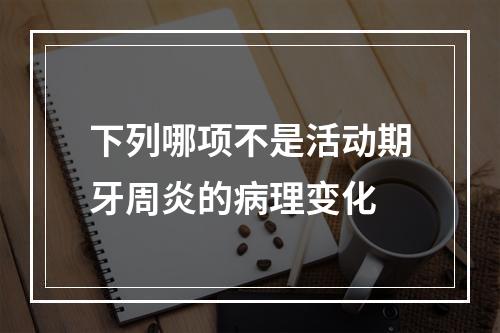 下列哪项不是活动期牙周炎的病理变化