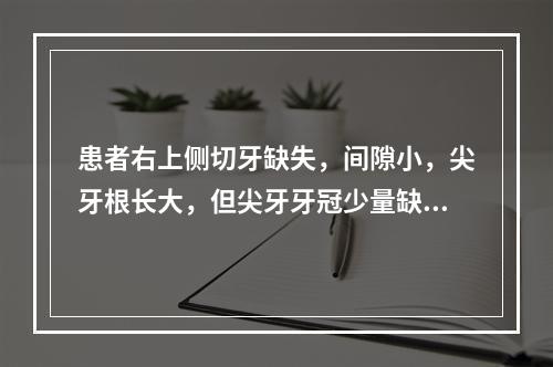 患者右上侧切牙缺失，间隙小，尖牙根长大，但尖牙牙冠少量缺损，