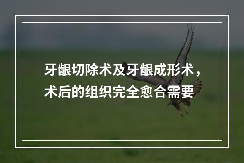 牙龈切除术及牙龈成形术，术后的组织完全愈合需要