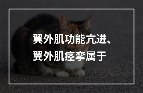 翼外肌功能亢进、翼外肌痉挛属于